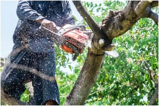 tree services Rushmere